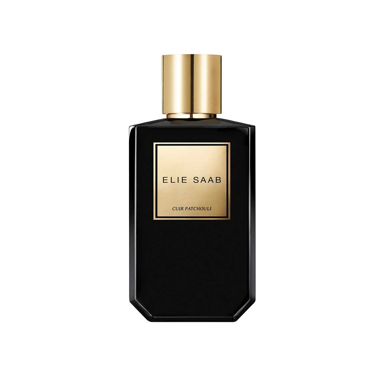 Elie saab cuir absolu