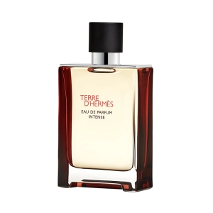 Hermes Terre D'Hermes Eau de Parfum Intense Refillable Masculin 100ml